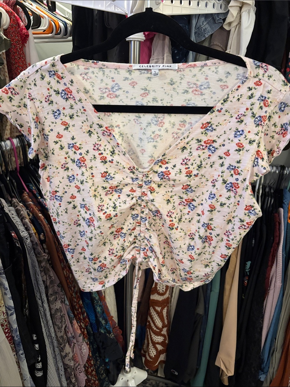 Celebrity Pink Blush Floral Ruched Tie-Front Crop Top